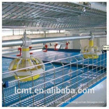 Poultry cages are specially designed for broiler chickens